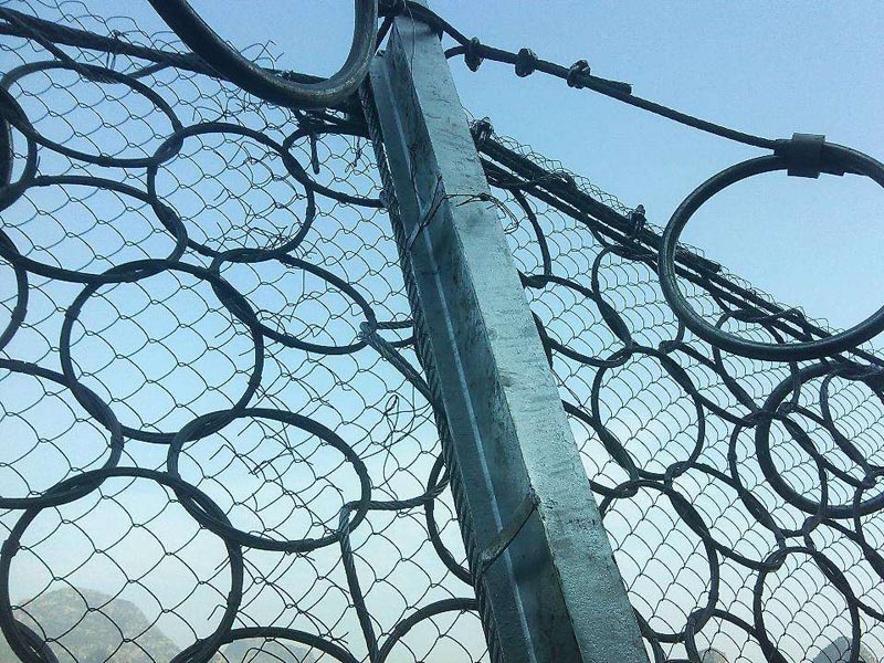 RXI-200�ͱ���(d��ng)���o(h��)�W(w��ng)