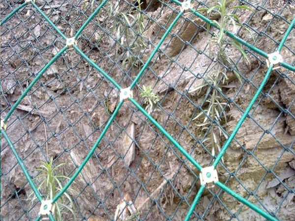 GND2����(d��ng)���o(h��)�W(w��ng)���Gɫ��