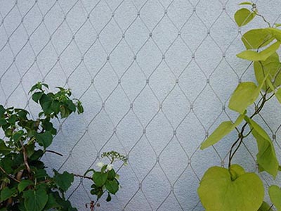 ���^(q��)ֲ�������W(w��ng)