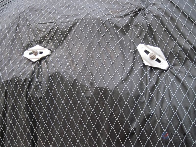 TECCO䓽z��žW(w��ng)