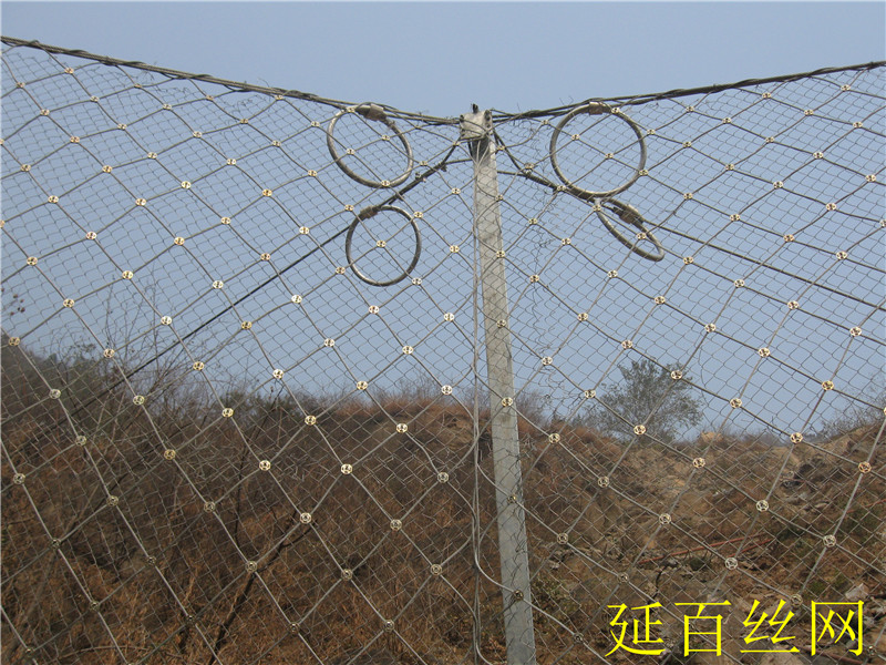 RX-050�ͱ���(d��ng)���o(h��)�W(w��ng)