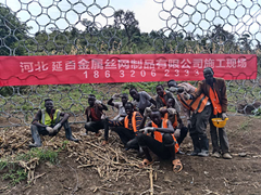 被動防護網(wǎng)出口國外施工